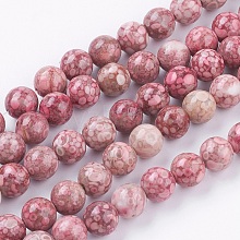 Natural Fossil Coral Beads Strands G-F563-01-8mm