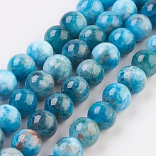 Natural Apatite Beads Strands G-F568-020-8mm