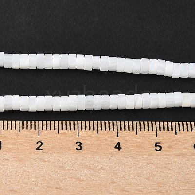 Natural Freshwater Shell Beads Strands SSHEL-C013-04B-1