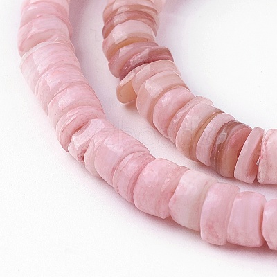 Natural Shell Beads Strands X-SSHEL-E571-49A-1