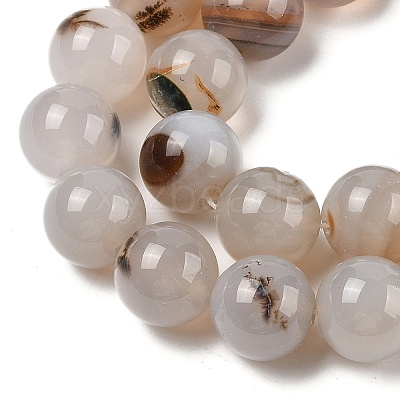 Natural Dendritic Agate Beads Strands G-A248-A07-07-1
