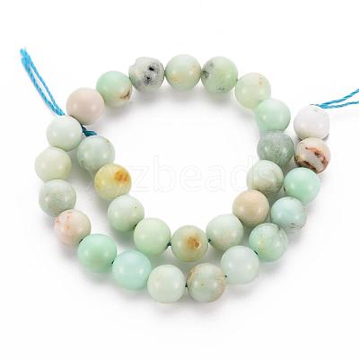 Natural Chrysoprase Beads Strands X-G-S333-6mm-037-1