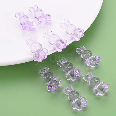 Transparent Acrylic Beads MACR-S373-81-B05-1