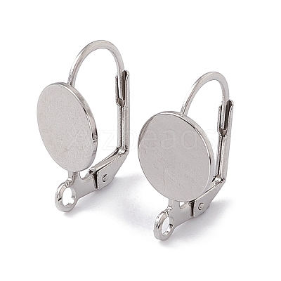 Tarnish Resistant 304 Stainless Steel Leverback Earring Findings STAS-G291-06P-1