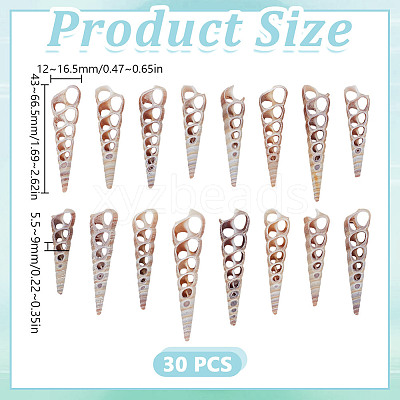 Turritella Center Cut Shell for Vase Fillers SSHEL-GO0001-04-1