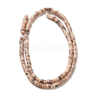 Natural Fossil Beads Strands G-I339-05-1