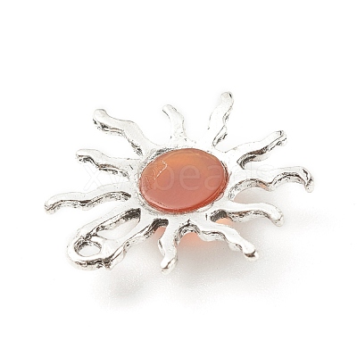 Natural Gemstone Pendants PALLOY-JF01354-1