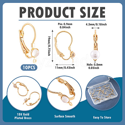 10Pcs Flat Round Brass Glass Leverback Earring Findings KK-TADJ0001-18-1