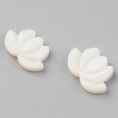 Natural Freshwater Shell Beads X-SHEL-S276-103-1