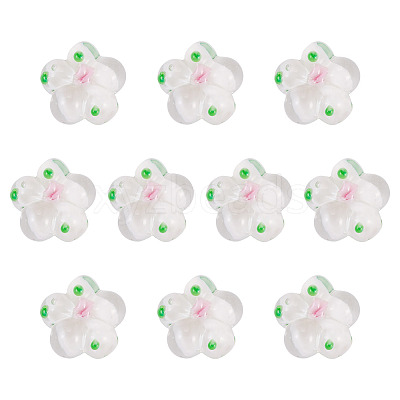 10Pcs Handmade Lampwork Beads LAMP-TADJ0001-01B-1