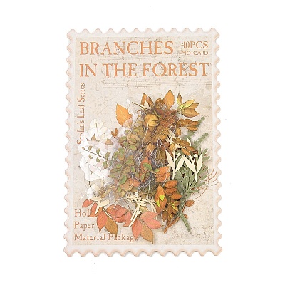 Autumn Leaf Scrapbooking Tool Kits LS-DIY-P084-D06-1