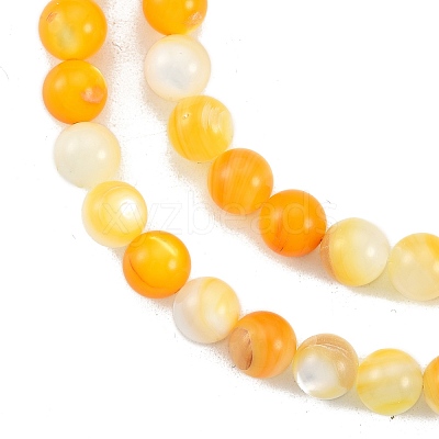 Natural Golden Yellow Shell Beads Strands SSHEL-G024-01B-1