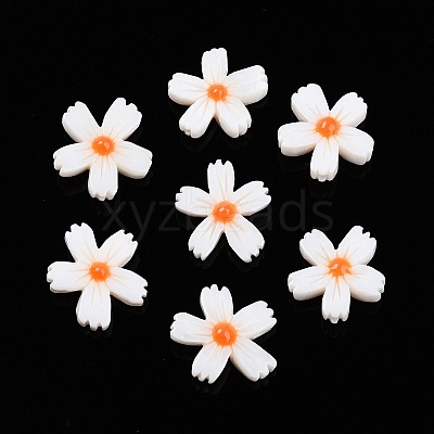 Natural Freshwater Shell Beads Strands X-SHEL-F004-04-01-1