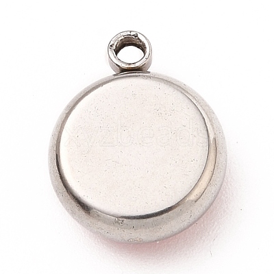 304 Stainless Steel Charms STAS-I165-04A-P-01-1