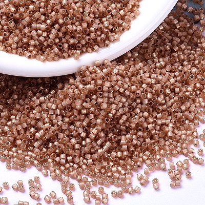 MIYUKI Delica Beads SEED-J020-DB2172-1