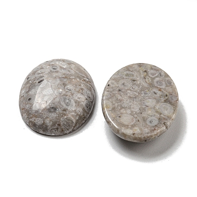 Natural Maifanite Cabochons G-C115-01B-30-1