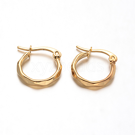 304 Stainless Steel Hoop Earrings X-EJEW-D195-G-1