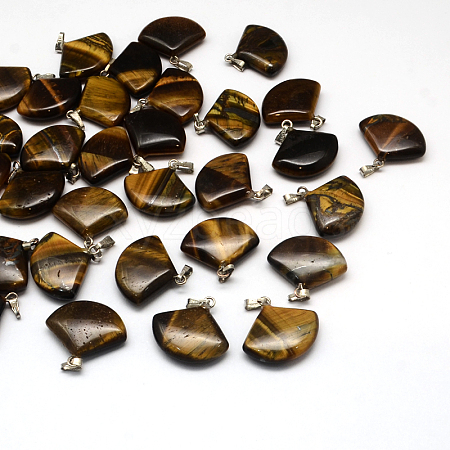 Fan Natural Tiger Eye Pendants G-Q358-01-1