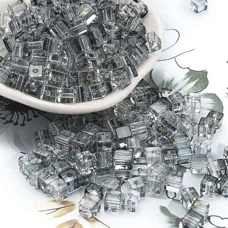 Spray Painted Glass Seed Beads SEED-A034-01G-1