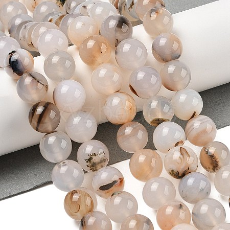 Natural Dendritic Agate Beads Strands G-A248-A07-05-1