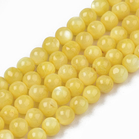 Natural Freshwater Shell Beads Strands SHEL-N003-24-B08-1