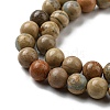 Natural Aqua Terra Jasper Beads Strands G-E444-14B-8mm-3