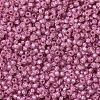MIYUKI Round Rocailles Beads SEED-JP0008-RR0645-3