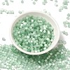 Glass Seed Beads X1-SEED-H002-D-A805-2