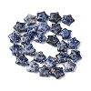 Natural Blue Spot Jasper Beads Strands G-K359-E11-5