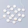 Natural White Shell Beads SSHEL-Q298-06-2