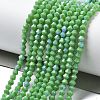 Opaque Solid Color Electroplate Glass Beads Strands EGLA-XCP0001-12A-2