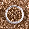 FGB 11/0 Grade A Baking Paint Glass Seed Beads X-SEED-S030-1146-3