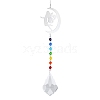 Glass Pendant Decorations PW-WG66492-04-1