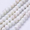 Natural Magnesite Bead Strands X-G-P286-10-6mm-1