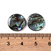 Natural Paua Shell Epoxy Resin Cabochons SSHEL-S279-01A-3