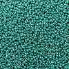 MIYUKI Round Rocailles Beads X-SEED-G008-RR0435-3