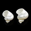 Natural Spiral Shell Beads SSHEL-N034-126-2