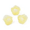 Transparent Acrylic Beads TACR-N006-75D-1