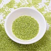 MIYUKI Delica Beads SEED-MY11-DB0147-2