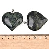 Natural Kambaba Jasper Pendants GG-K002-04G-3