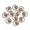 Alloy Pendants X-EA9508Y-AB-1