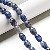 Natural Blue Spot Jasper Beads Strands G-B106-B29-01-2