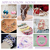 DIY Beads Kit DIY-PH0021-98A-3