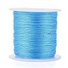 Polyester Braided Metallic Thread OCOR-I007-B-18-1
