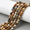 Natural Agate Beads Strands G-G991-A03-A-01A-8