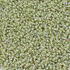 MIYUKI Round Rocailles Beads X-SEED-G007-RR0359-3