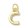 Rack Plating Brass Charms KK-P245-06G-C-1