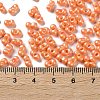 Glass Seed Beads SEED-L011-04A-04-4