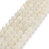 Natural White Moonstone Beads Strands X-G-D294-8mm-1