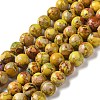 Natural Imperial Jasper Beads Strands G-I122-8mm-25-1